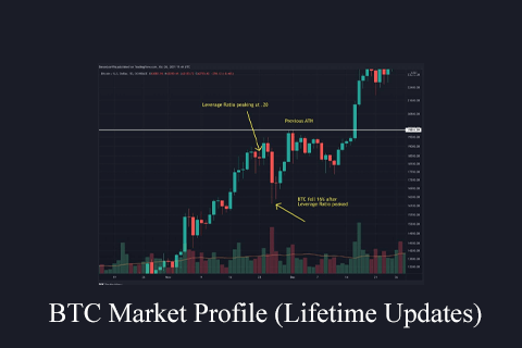 BTC Market Profile (Lifetime Updates) (1)