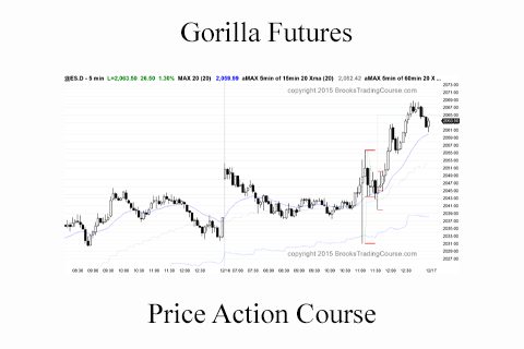 Gorilla Futures – Price Action Course (2)