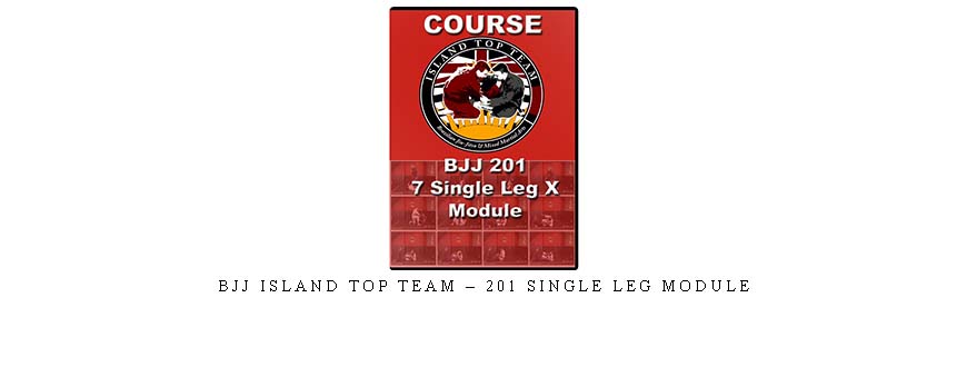 BJJ ISLAND TOP TEAM – 201 SINGLE LEG MODULE