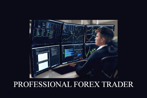 PROFESSIONAL FOREX TRADER (2)
