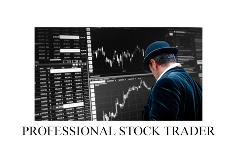 PROFESSIONAL STOCK TRADER