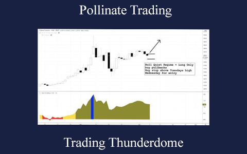 Pollinate Trading – Trading Thunderdome