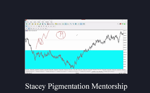 Stacey Pigmentation Mentorship