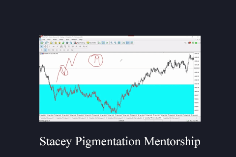 Stacey Pigmentation Mentorship (1)