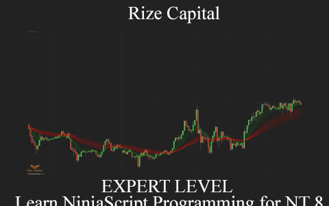 Rize Capital – EXPERT LEVEL – Learn NinjaScript Programming for NT 8