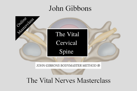 John Gibbons – The Vital Nerves Masterclass (2)