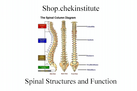 Shop.chekinstitute – Spinal Structures and Function (2)