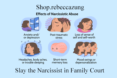 Shop.rebeccazung – Slay the Narcissist in Family Court (2)