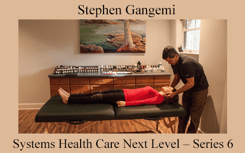 Stephen Gangemi – Systems Health Care Next Level – Series 6