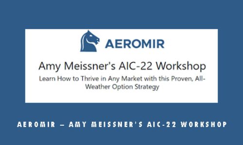 Aeromir – Amy Meissner’s AIC-22 Workshop