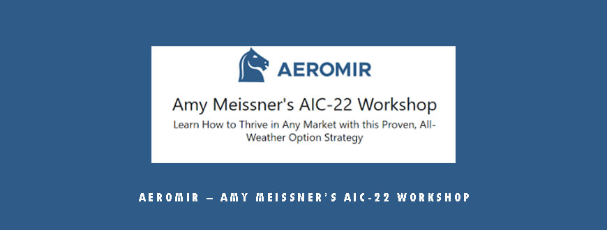 Aeromir – Amy Meissner’s AIC-22 Workshop