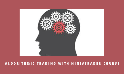 Algorithmic Trading with NinjaTrader Course