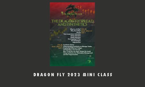 Dragon Fly 2023 Mini Class