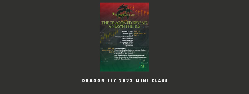 Dragon Fly 2023 Mini Class