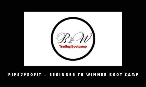 Pips2Profit – Beginner To Winner Boot Camp