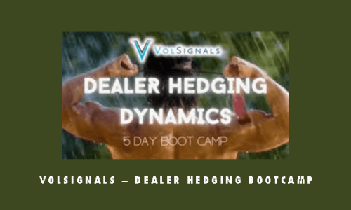 VolSignals – Dealer hedging bootcamp